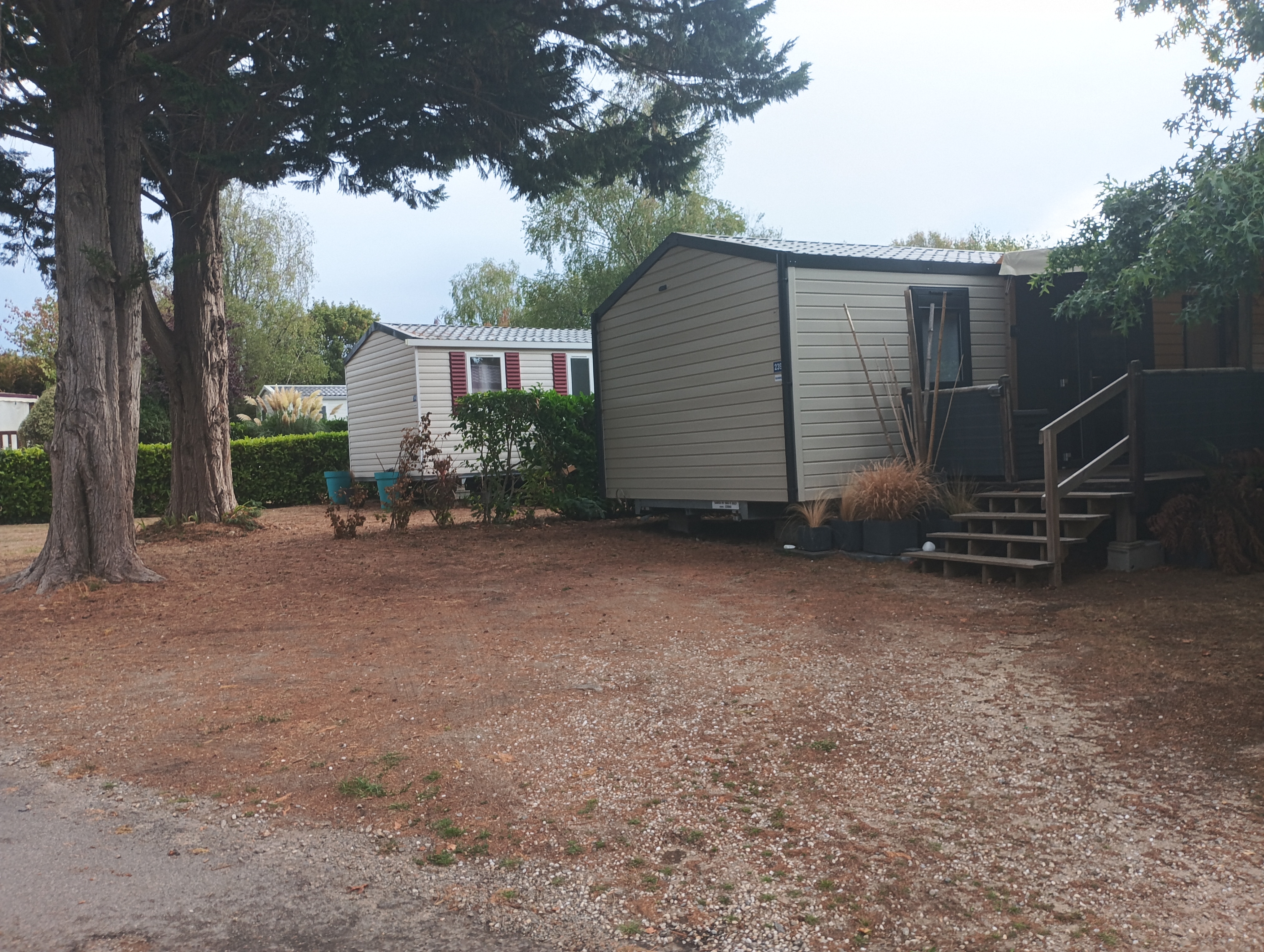 chez Yanne